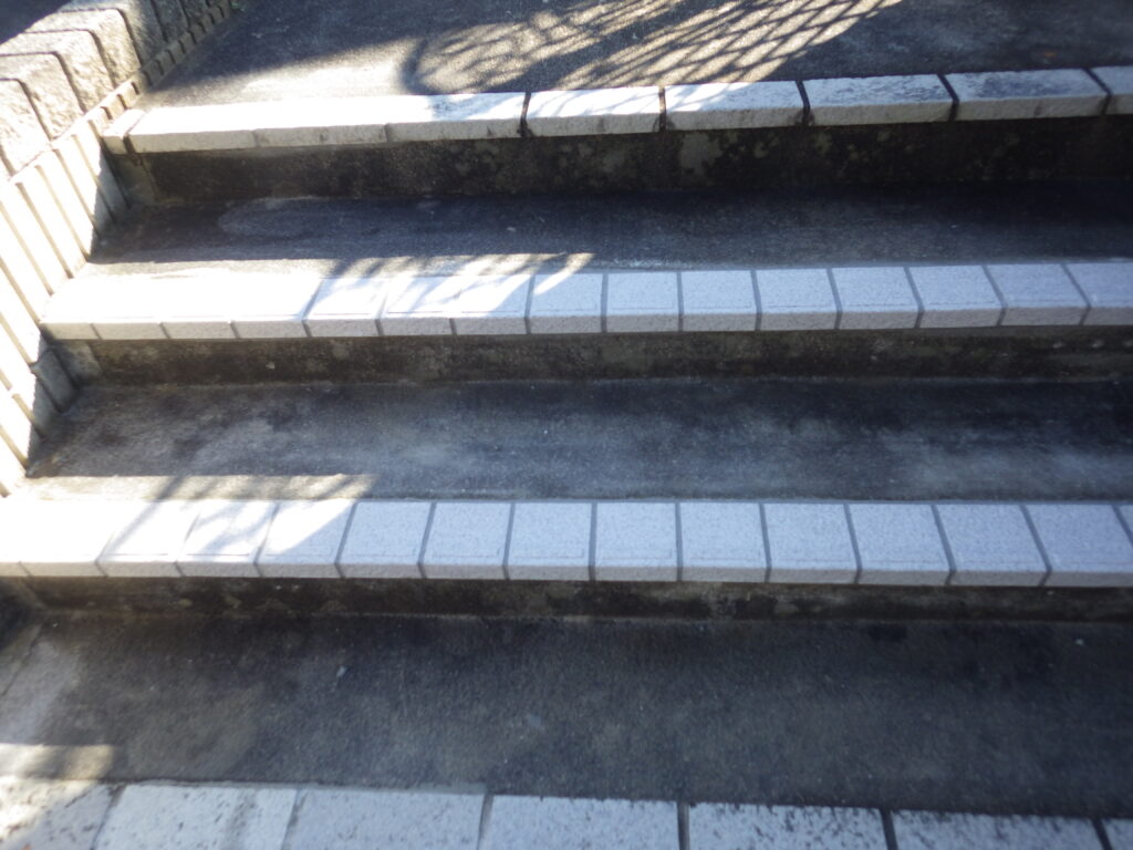 施工実例 福島市/Ｎ様邸　ステップタイル修繕工事｜内池工業