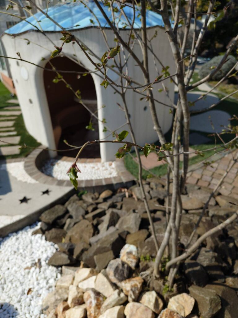 福島市　伊達市　相馬市　南相馬市　内池工業　エクステリア　外構　ガーデン