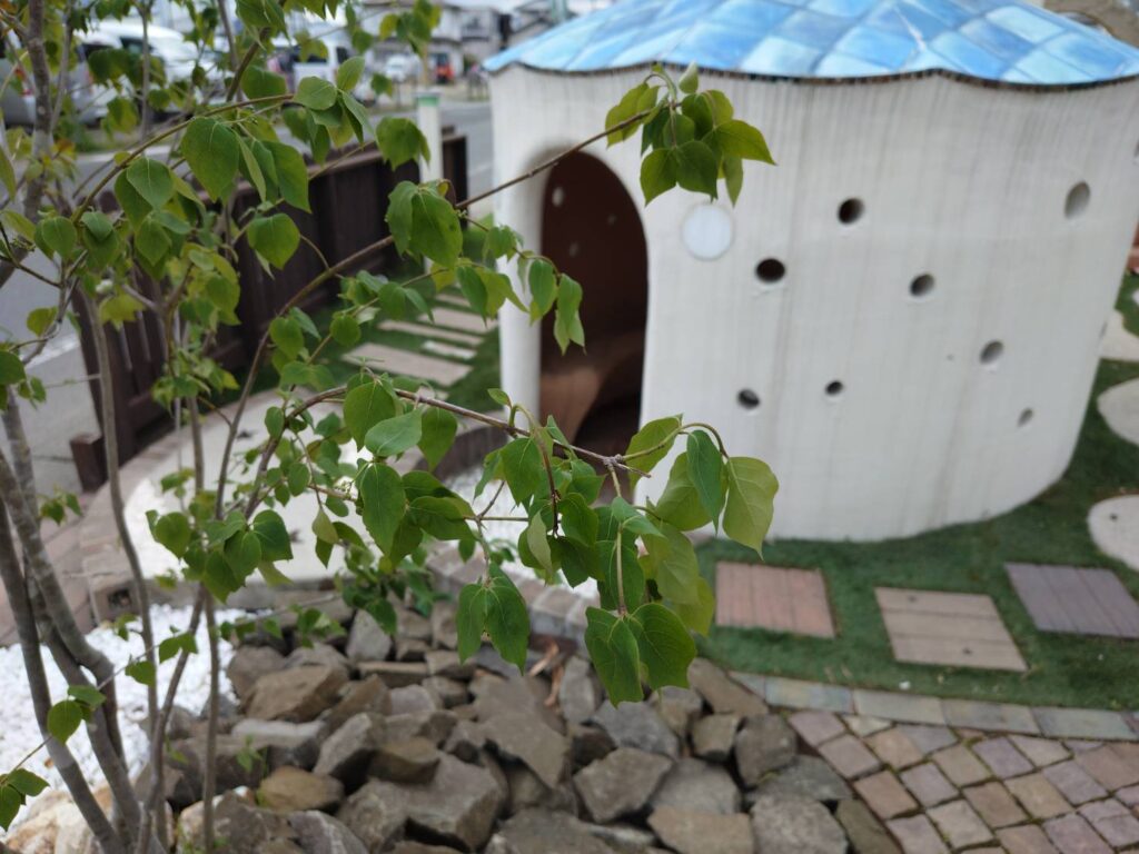 福島市　伊達市　相馬市　南相馬市　内池工業　エクステリア　外構　ガーデン