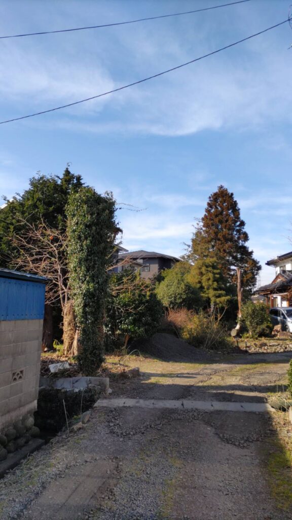 施工実例 福島市/Ｓ様邸　柿の木伐採工事｜内池工業