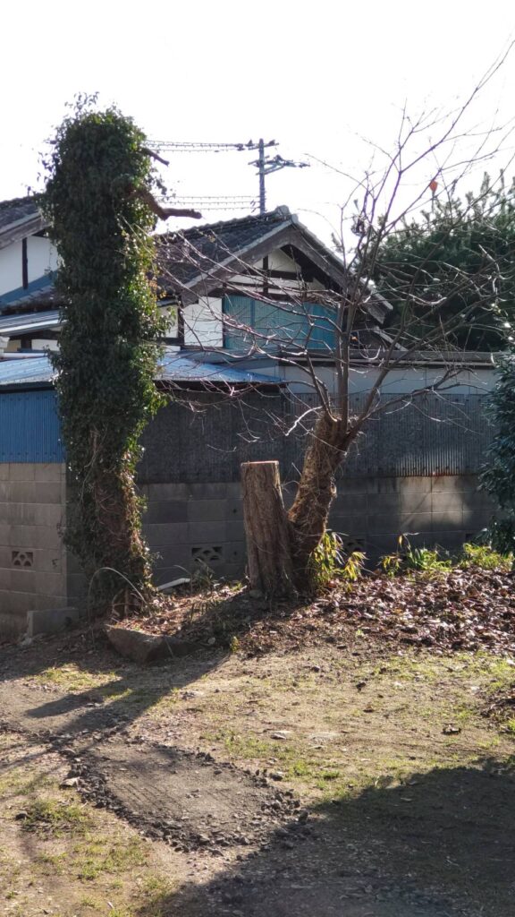 施工実例 福島市/Ｓ様邸　柿の木伐採工事｜内池工業