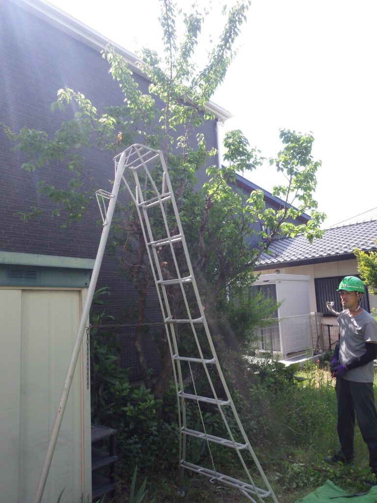 福島市　伊達市　相馬市　南相馬市　内池工業　エクステリア　外構　ガーデン