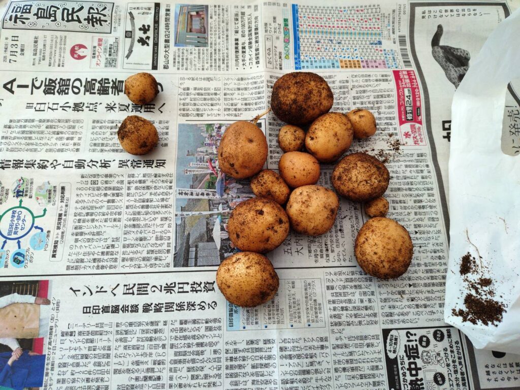 福島市 伊達市 相馬市 南相馬市 内池工業 エクステリア 外構 ガーデン